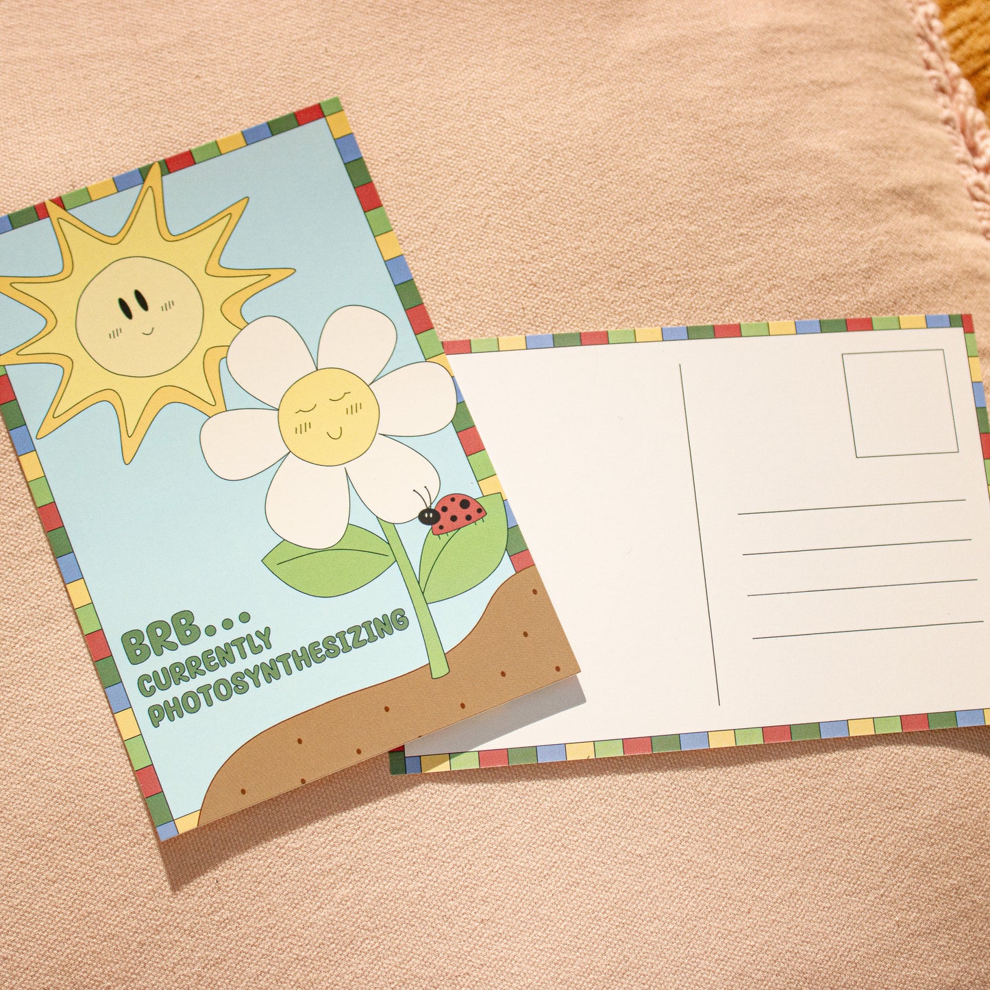 Photosynthesizing Daisy | Postcard
