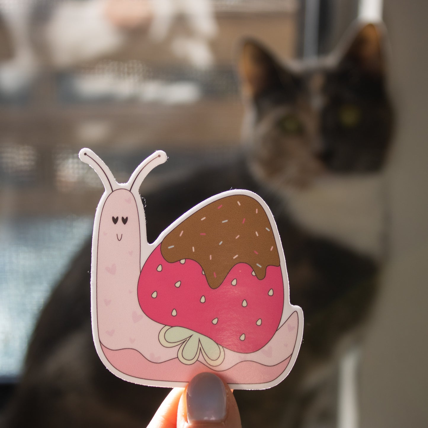 Chocolate Strawberry Snail | Sticker