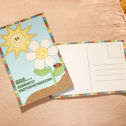 Photosynthesizing Daisy | Postcard